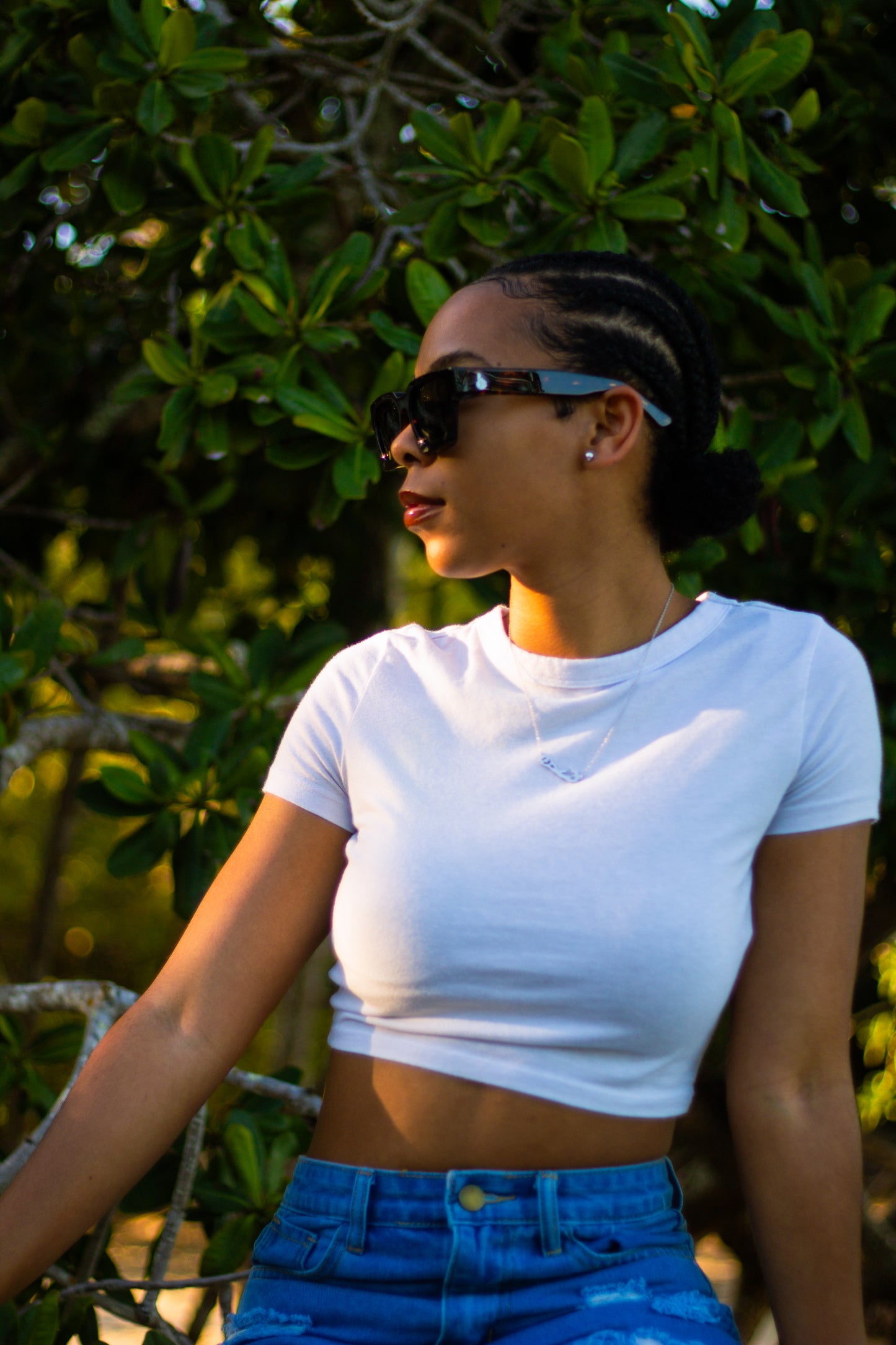 Upness V1 Sunglasses (Brown)